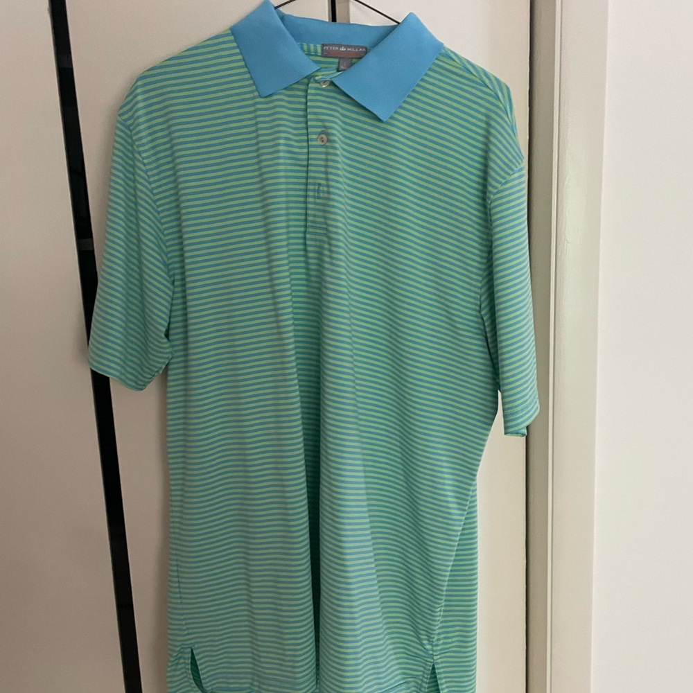 Blue and green striped polo